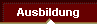 Instrumentalausbildung